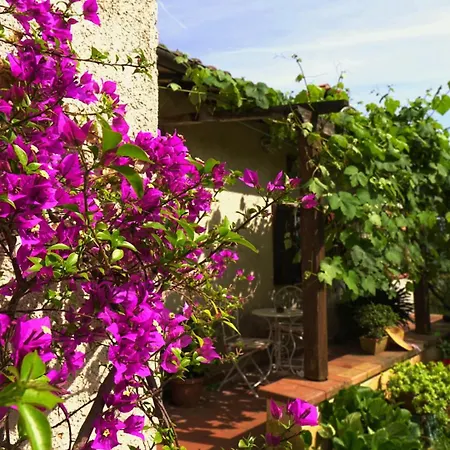 Casa Luisella بيت للعطل كامايوري
